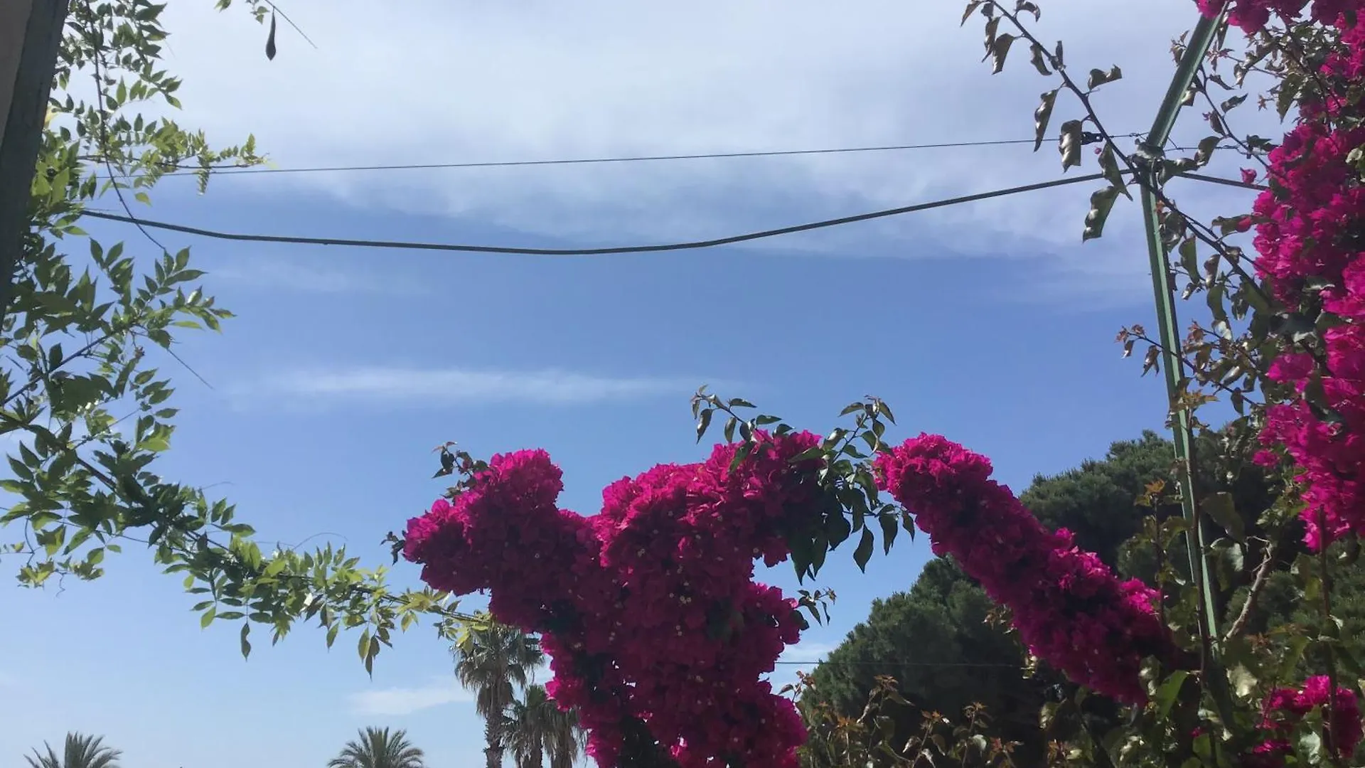 فندق L'Ilot Fleuri لو لا فاندو